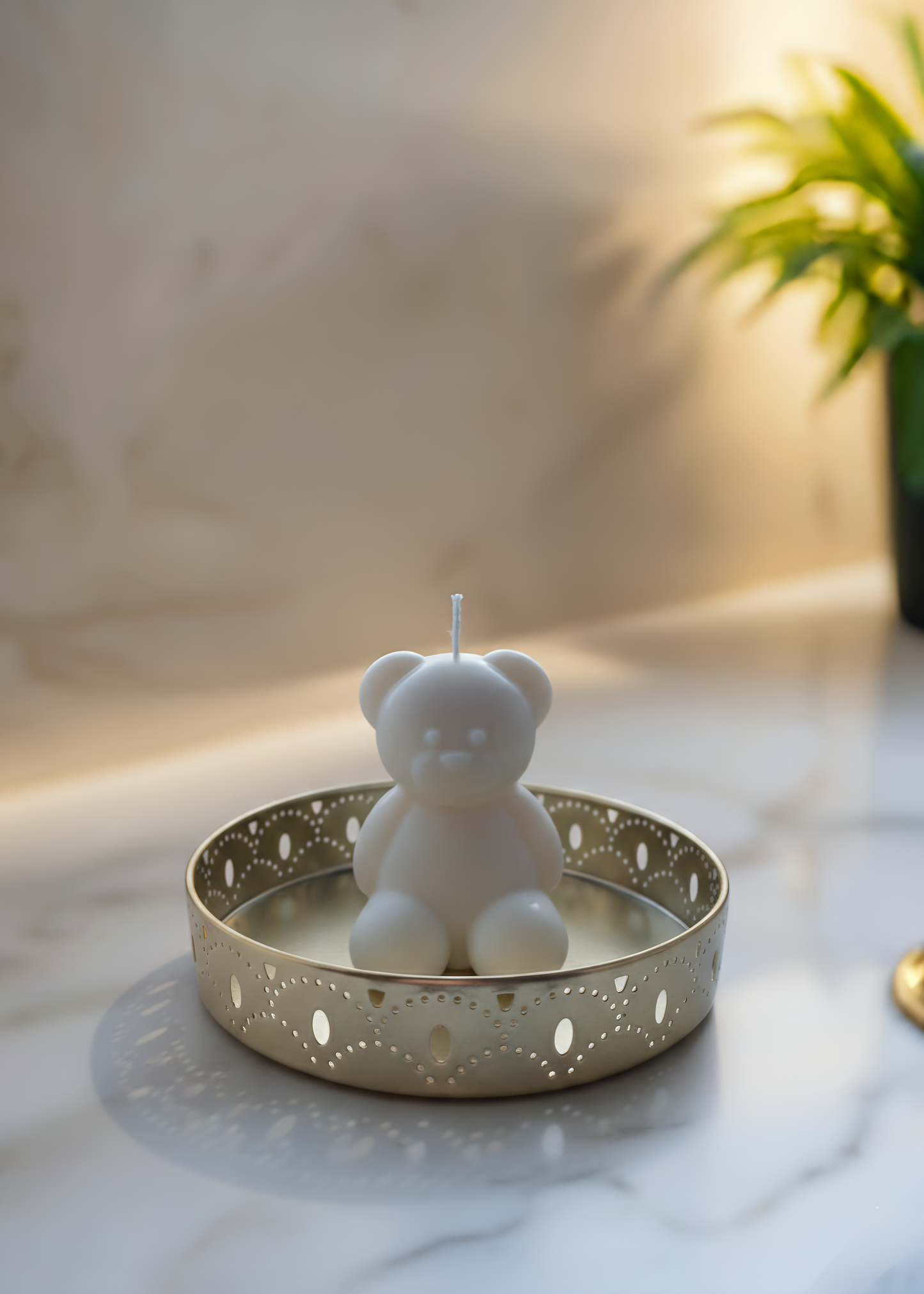 Aukso Spalvos padėkliukas